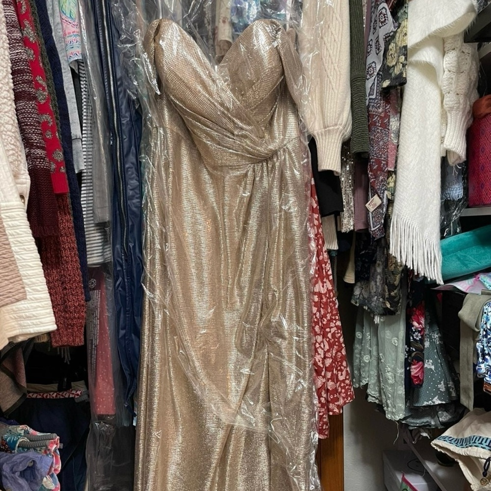 NWT Bella bridesmaids dress size 10 Hayley Paige